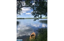 Wolf Bay Shores, Cook, MN 55723
