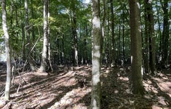 W Whitefish Bay Rd, Sturgeon Bay, WI 54235