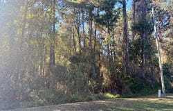 118 RAMSEY Drive, Melrose, FL 32666