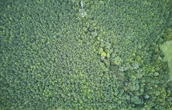 Beal Road, Robbins, NC 27325