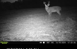 2 Forest Service Road 562, Pulaski, MS 39152