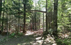 3232 W Kenneth Rd, Moran, MI 49760