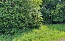 3113 MORLEY'S WHARF RD, exmore, VA 23350