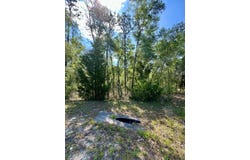NE Willstone Way, Steinhatchee, FL 32359
