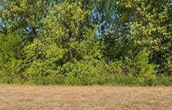 Victoria Road, Byhalia, MS 38611