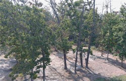 Tuscany Drive lot: 31, Camdenton, MO 65020
