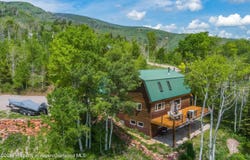 238 Hawk Lane, Basalt, CO 81621