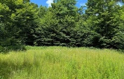 Lee Rd lot: 10, Florence, NY 13316