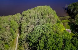 451 WIGGINS RD, Karnack, TX 75661