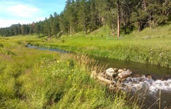 12726 Nemo Rd, Nemo, SD 57759