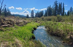 4396 E Highway 231, Springdale, WA 99173