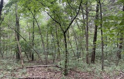 2980 County Road 855, Thornfield, MO 65762