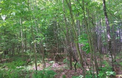 9 Private Road, WI-139, Argonne, WI 54511