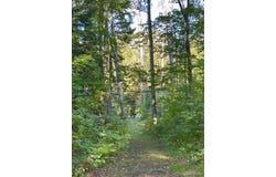 1375 Mangum Road, Marquette, MI 49855
