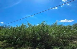 6339 & 6361 Vega Verde Rd, Del Rio, TX 78840