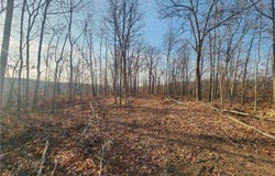 State J Road lot: 5, Roach, MO 65787