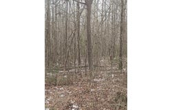 Chandler Road, Easley, SC 29640