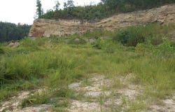 Trace Fork (DB 229, DP 267), Gunlock, KY 41632