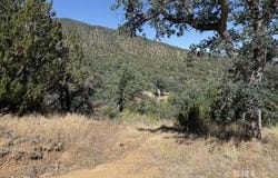 S Alpine St, Bodfish, CA 93205