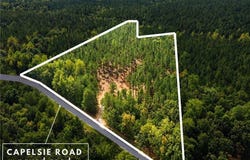 Capelsie Road lot: 1, Candor, NC 27229