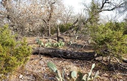 Whitetail Trail, San Saba, TX 76877