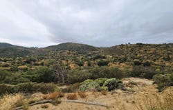 Edgewood Drive, Julian, CA 92036