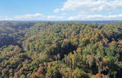 569 Stoneybrook Road, Burnside, KY 42519