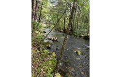 Rolfe Road lot: 44, Harrison, ME 04040