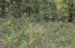 Slumber Drive, Waterloo, SC 29384