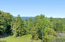 Middle Road lot: 1 And 2, Barre Town, VT 05654