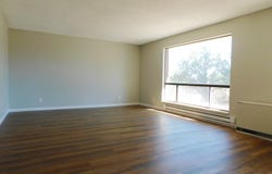 575 NE 4th Street, Cedaredge, CO 81413