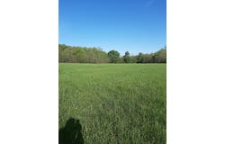 1535 W Elderberry Lane, Brighton, MO 65617