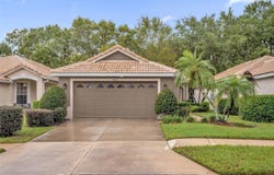 8002 SAINT ANDREWS Way, MOUNT DORA, FL 32757