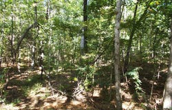 Bounty Ln, CAMDEN, TN 38320
