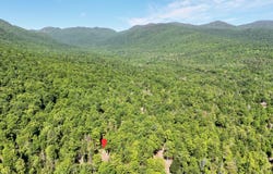 86 Maple Rdg Way, Keene, NY 12942
