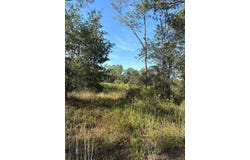 123 RD Lane, BRONSON, FL 32621
