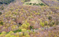 L20 Hakes Calhoun Road, Pitcher, NY 13136