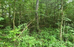 Shady Lane, BIG SANDY, TN 38221