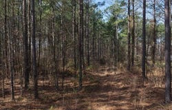 2515 & 2521 FM 3098, Texarkana, TX 75573