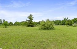 Scenic Drive, Honor, MI 49640