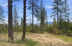 8300 E Lodge Pole Ln, Chattaroy, WA 99003