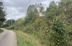 Shepperd lot: 51, Nancy, KY 42544