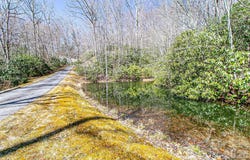 Still Branch Road, Brevard, NC 28712