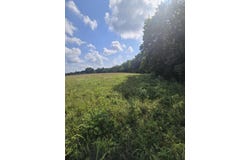 Reaves Road, Hartville, MO 65711