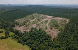 40 Acres W376, Langley, AR 71952