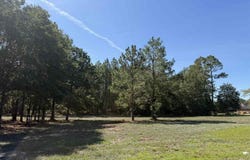 Isaiah Drive lot: 3, Dillon, SC 29536