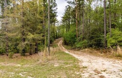 4660 Morristown Rd, Jay, FL 32565