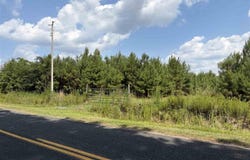 Highway 556, Scranton, SC 29591