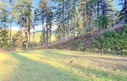 Alder Branch Rd, Springfield, OR 97478