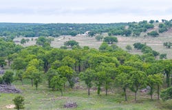 1034 County Road 207, Ovalo, TX 79541
